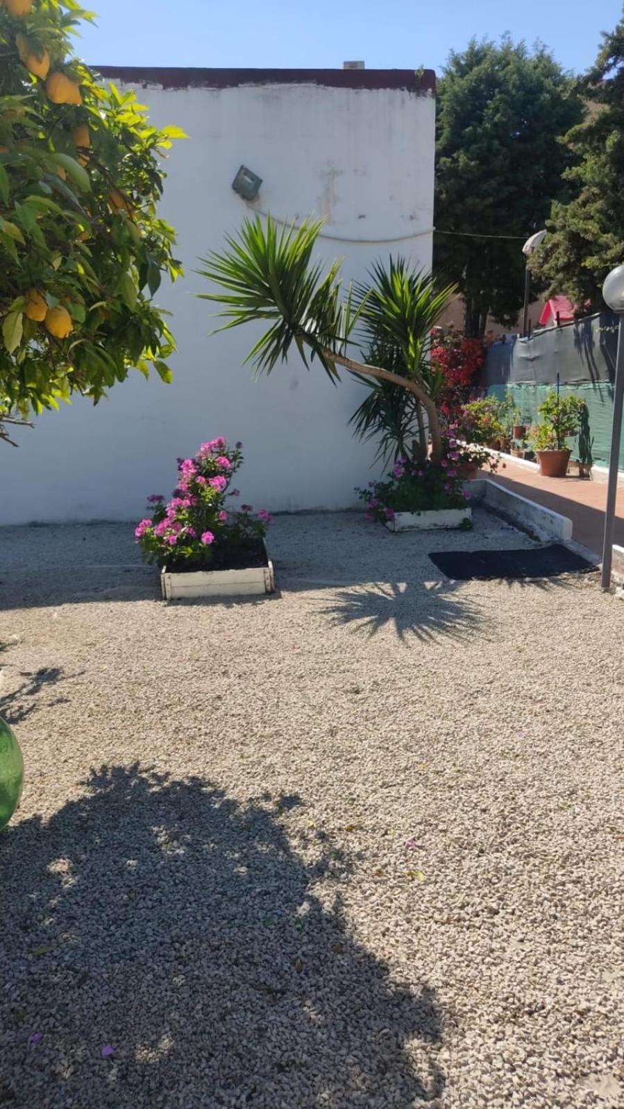 Garden Green Da Virna Torre Annunziata Exteriér fotografie