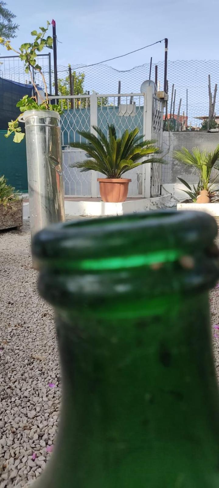 Garden Green Da Virna Torre Annunziata Exteriér fotografie