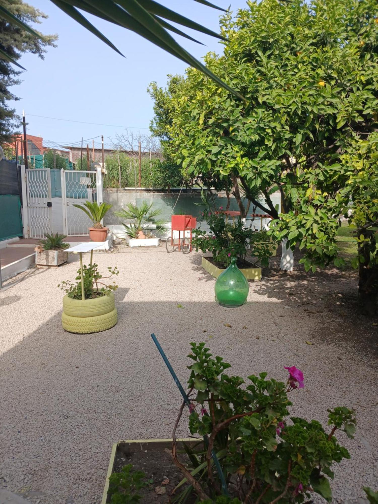 Garden Green Da Virna Torre Annunziata Exteriér fotografie